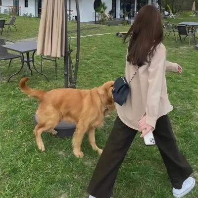寻护者